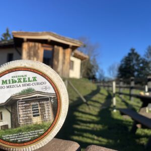QUESO MIKAELA - CLIENTE FINAL/TIENDA