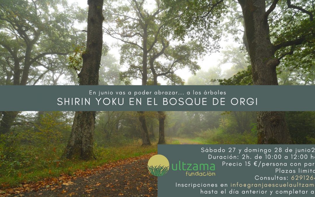Shirin Yoku en el Bosque de Orgi
