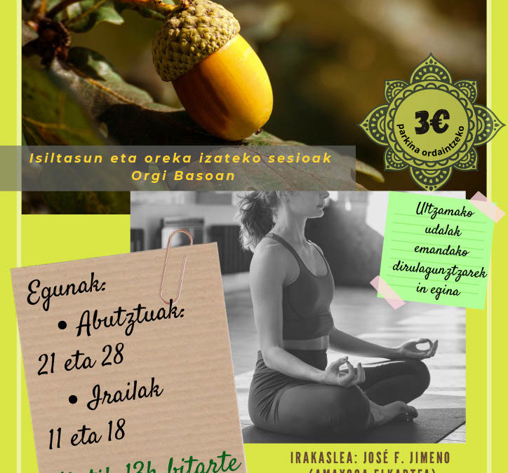 Curso de Yoga