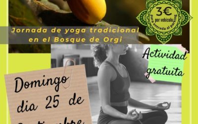 YOGA GRATUITO EN EL BOSQUE