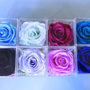 Rosas preservadas en cajita de metacrilato