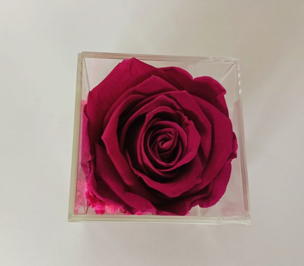 Rosas preservadas en cajita de metacrilato - Imagen 2
