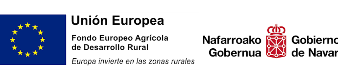 PROYECTOS DE INVESTIGACIÓN:    I+D+I