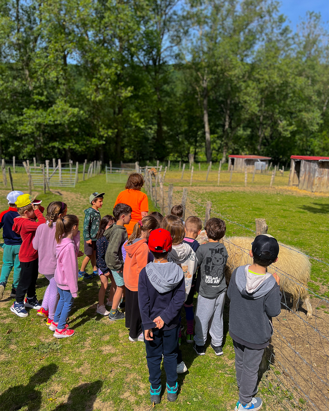 Visita guiada en la granja escuela Ultzama