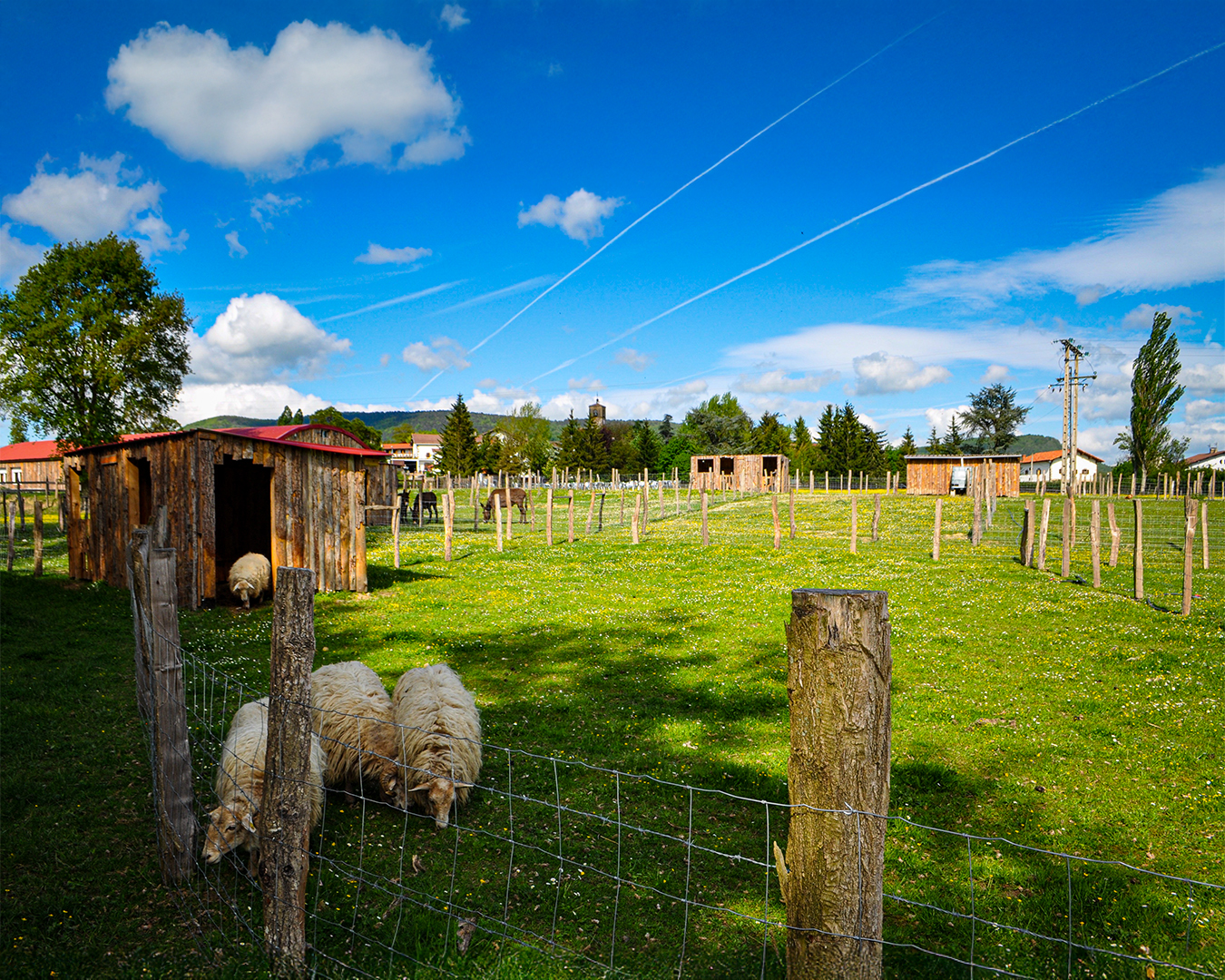 Visita guiada en la granja escuela Ultzama, instalaciones